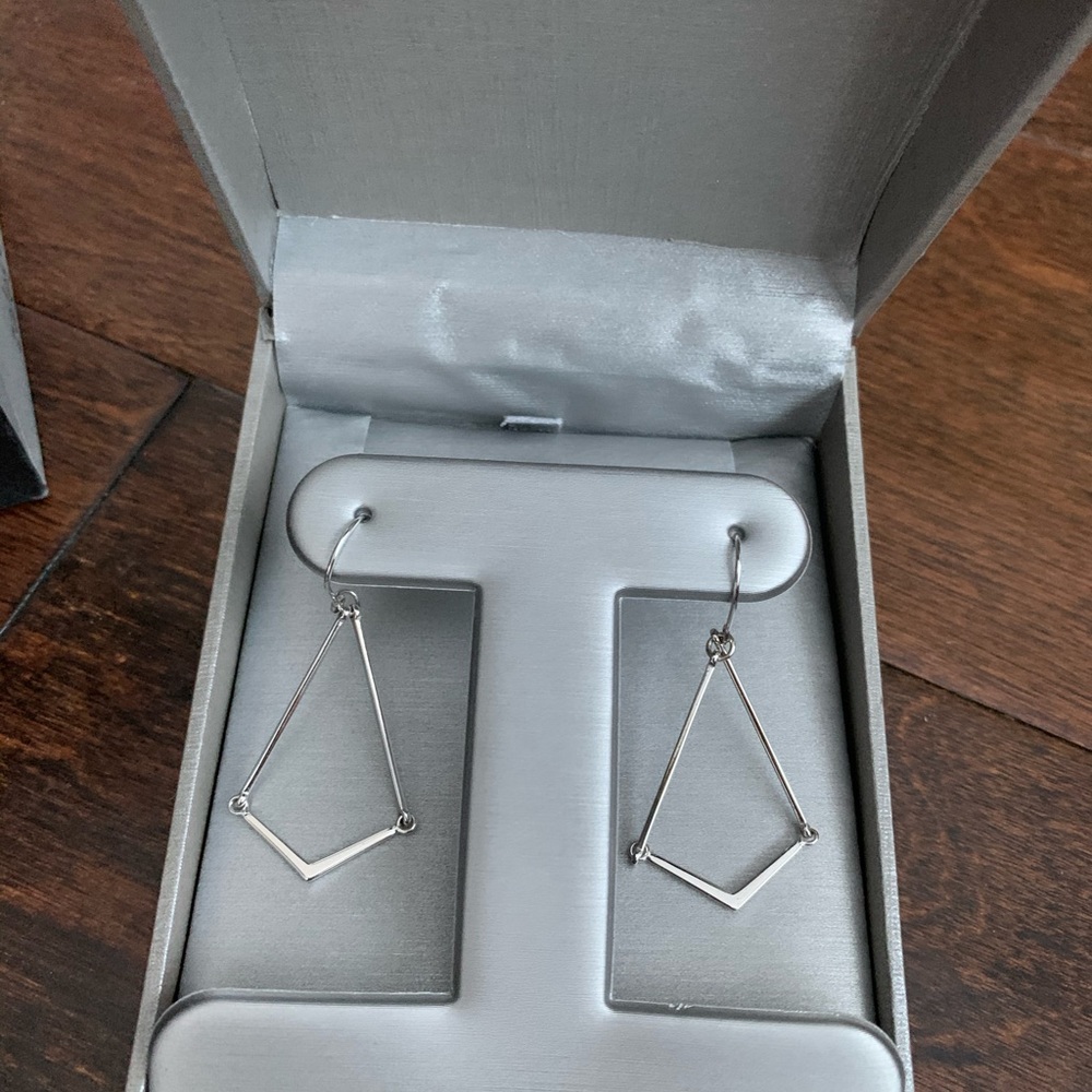 Stainless Steel Drop Earrings